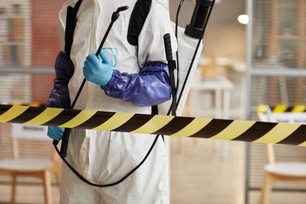 Professional Blood Cleanup technician working in Alamo, NV